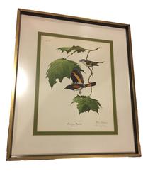 "American Redstart Print" signed by Ray Harm 202//269